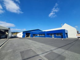 2451729_1.jpg