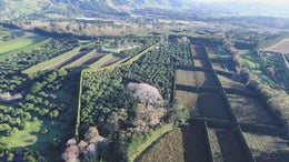 2500540_1.jpg