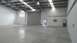 2500573_1.jpg