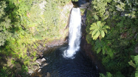 2500574_2.jpg