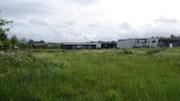 2501558_1.jpg