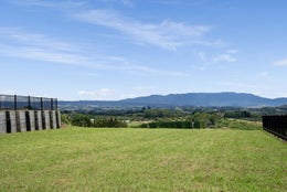2503699_1.jpg