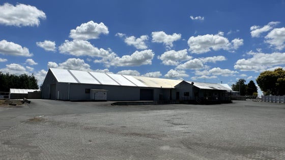 2504594_2.jpg