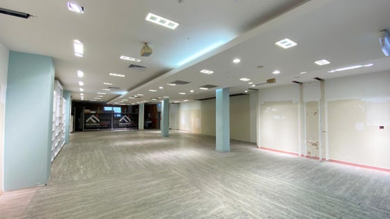 2504766_2.jpg