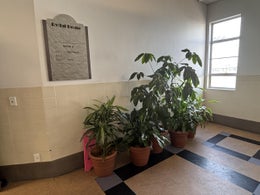 2504976_1.jpg