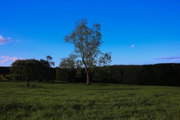 2505143_1.jpg