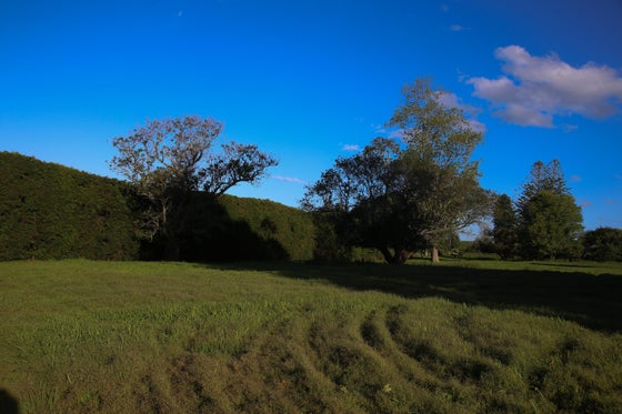 2505143_3.jpg