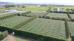 2505307_1.jpg