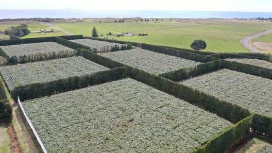 2505307_2.jpg