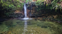 2505581_1.jpg