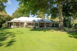 2505603_1.jpg