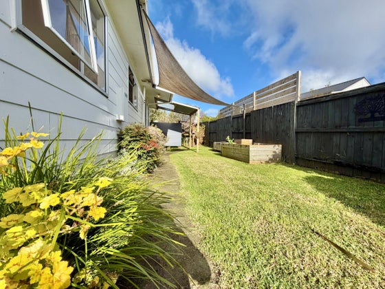 2505736_3.jpg