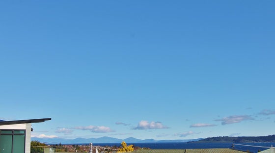 2510141_2.jpg