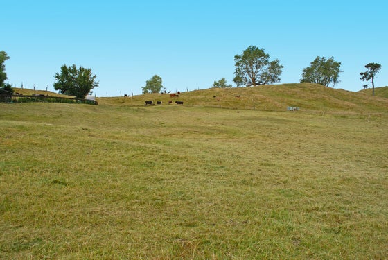 2510189_3.jpg