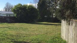2511512_1.jpg