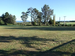 2511869_1.jpg