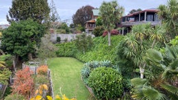 2550389_1.jpg