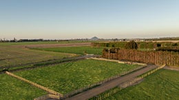 2571472_1.jpg