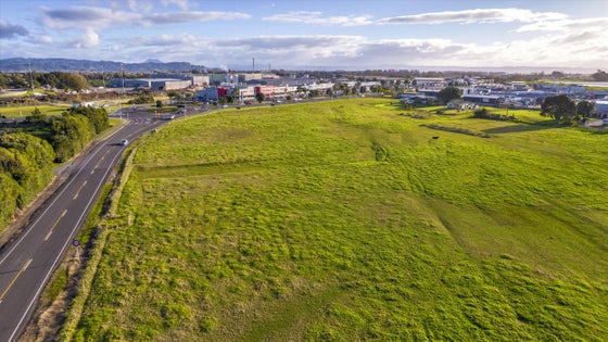 2573006_3.jpg