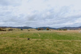 2575852_1.jpg
