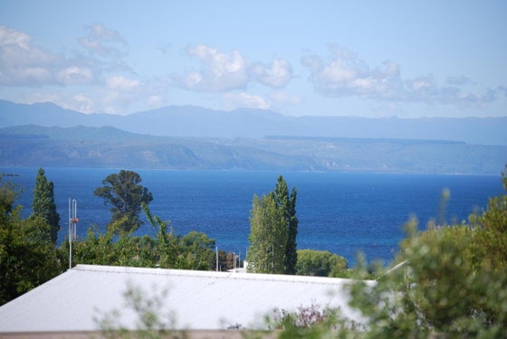 259548_3.jpg