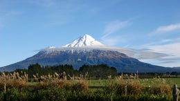 2600008_1.jpg