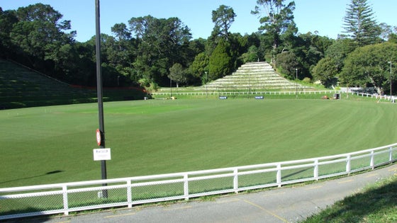2600008_3.jpg