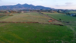 2600167_1.jpg