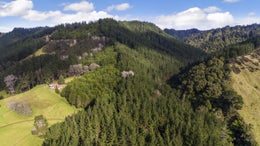 2600277_1.jpg