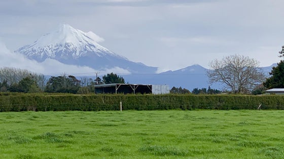 2600327_2.jpg