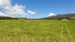 2600352_1.jpg