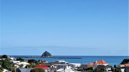 2600702_1.jpg