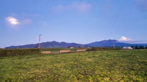 2600720_3.jpg