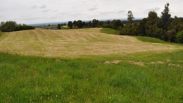 2600752_1.jpg