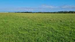 2600893_1.jpg