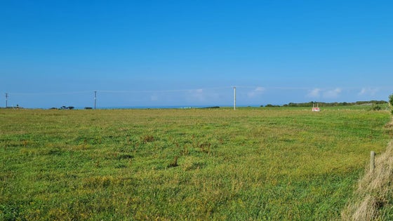 2600893_3.jpg