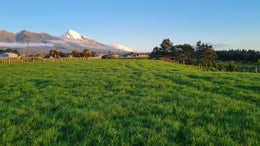 2601012_1.jpg