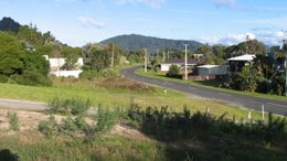 261912_1.jpg