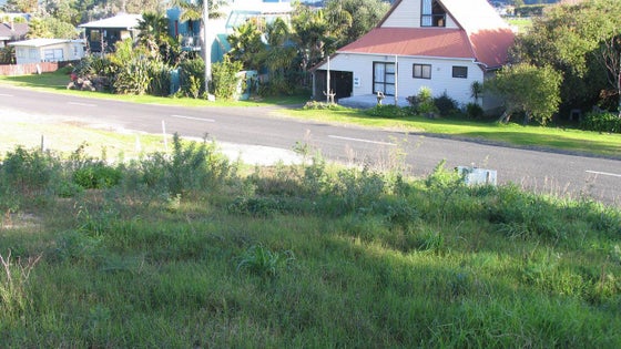 261912_3.jpg