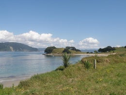 261932_1.jpg