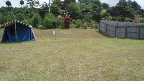 262143_3.jpg