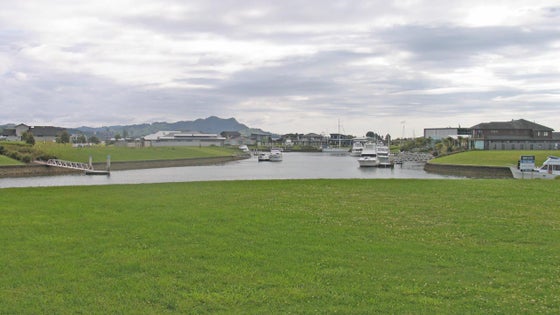 262329_2.jpg