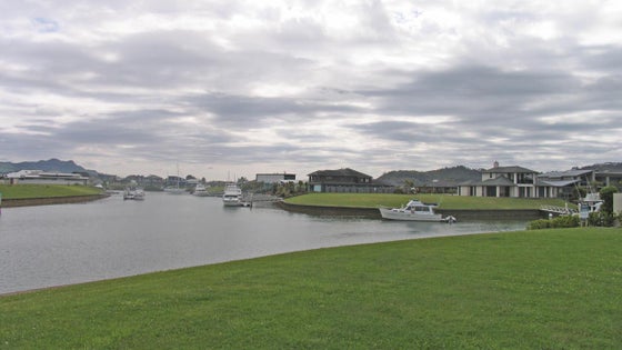 262329_3.jpg