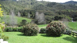 262520_1.jpg