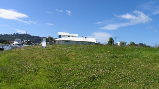 262889_3.jpg