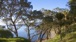 262959_1.jpg