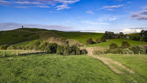 2630251_3.jpg