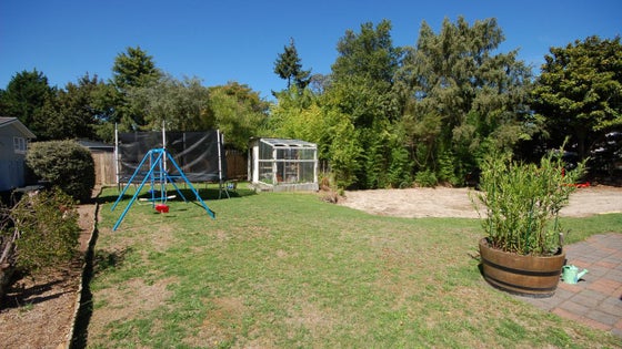 2650296_2.jpg