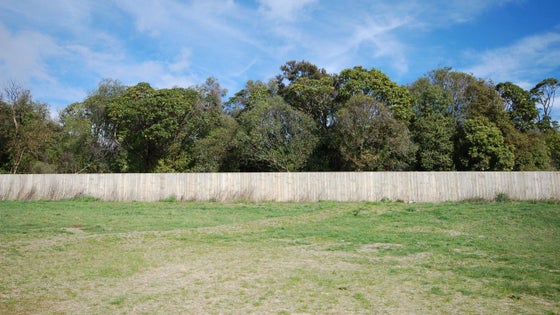 2650579_3.jpg