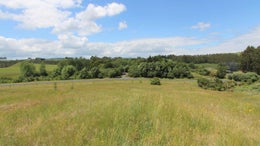 2650795_1.jpg